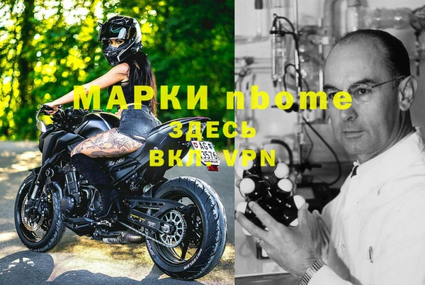 индика Дмитровск